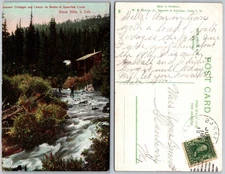 Spearfish Creek Black Hills S Dak Cabin Postcard