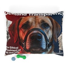 Ethical Treatment Awareness Pillow for Pets by I Control Me  