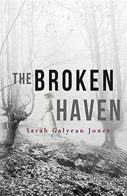 The Broken Haven -  NEW Sarah Galyean J 2016