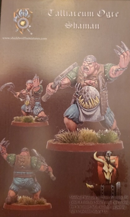 Миниатюры Щитового волка Таллиареум Шаман-огр 28-миллиметровые Королевства Огров