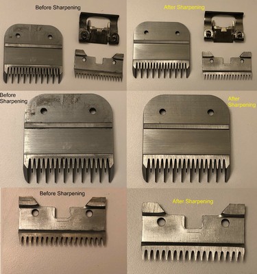 how to sharpen wahl clippers