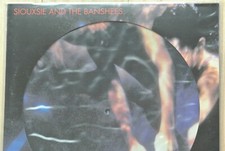 Siouxsie and the Banshees Picture Disc Vinyl Records for sale | eBay