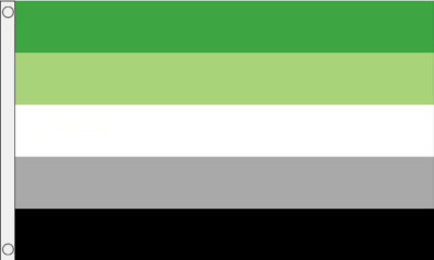 Aromantische kleine Flagge (3 Fuß x 2 Fuß)