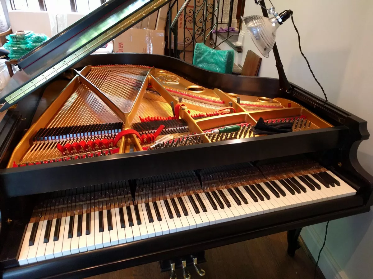 Gorgeous baby grand musical piano hotsell with bench