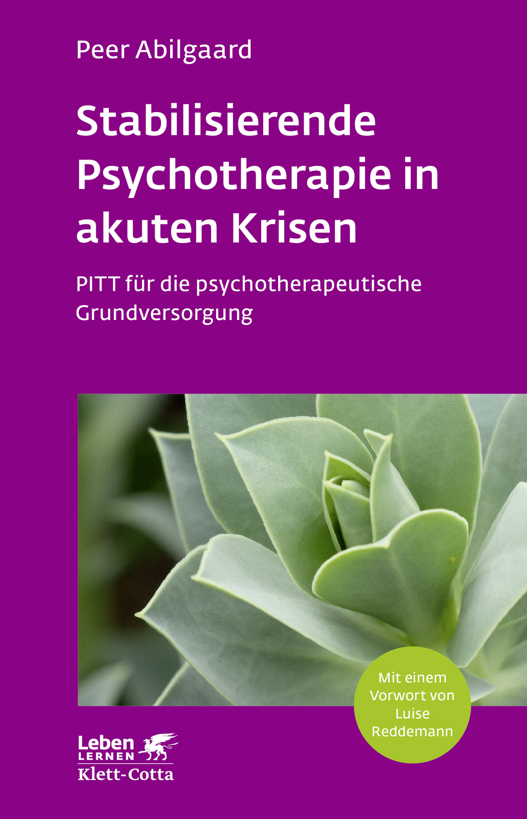 Thumbnail - Peer Abilgaard / Stabilisierende Psychotherapie In Akuten Krisen
