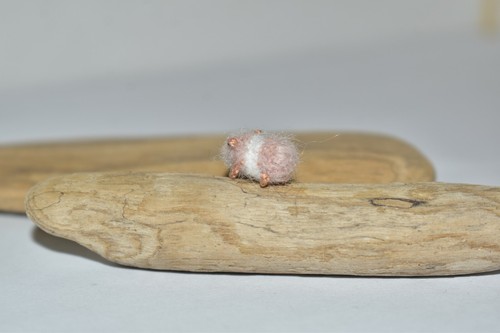 Tiny Cute Guinea Pig 0.59" Dollhouse Miniature Pet Tiny Animal Toy Gift - Picture 9 of 10