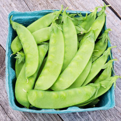 #ad Oregon Sugar Pod II Snow Pea Seeds Organic NON GMO $6.99