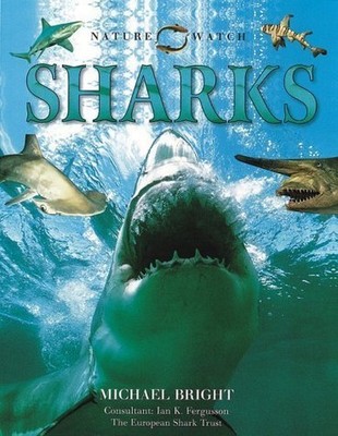 Sharks (Nature Watch S.), Bright, Michael