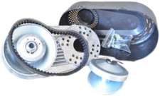 Predator 301CC GO Kart Torque Converter Clutch 1" 30 Series TAV2 30-100 218354A