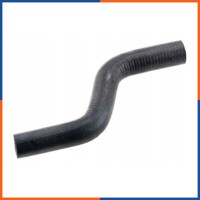 Ladeluftschlauch FüR Ford | BSG30-720-068, BSG30-720-185, BSG70-720-086