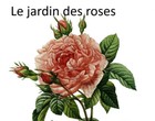 Bild 5 von 11