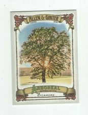 2021 TOPPS ALLEN & GINTER ARBOREAL APPRECIATION SYCAMORE #AA-2