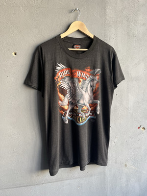 【90s】Harley Davidson big T-shirt old Vintage 90s Harley Davidson Only Way To See Florida T-Shirt