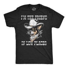 Mens Funny T Shirts Im The Friend In Low Places Sarcastic Graphic Novelty Tee