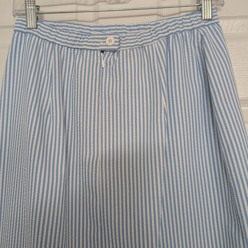 NEW Henry Lee Seersucker Midi Skirt Womens Size 10 Blue Stripe Vintage Straight - Picture 8 of 11