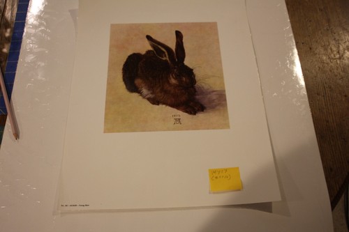 Albrecht Durer Young Hare Vintage Art Print Animal Bunny Rabbit Hare laminated - Picture 2 of 5