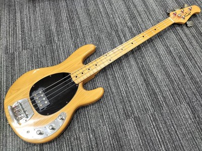 ERNIE BALL MUSICMAN STINGRAY E-Bass u.a.
