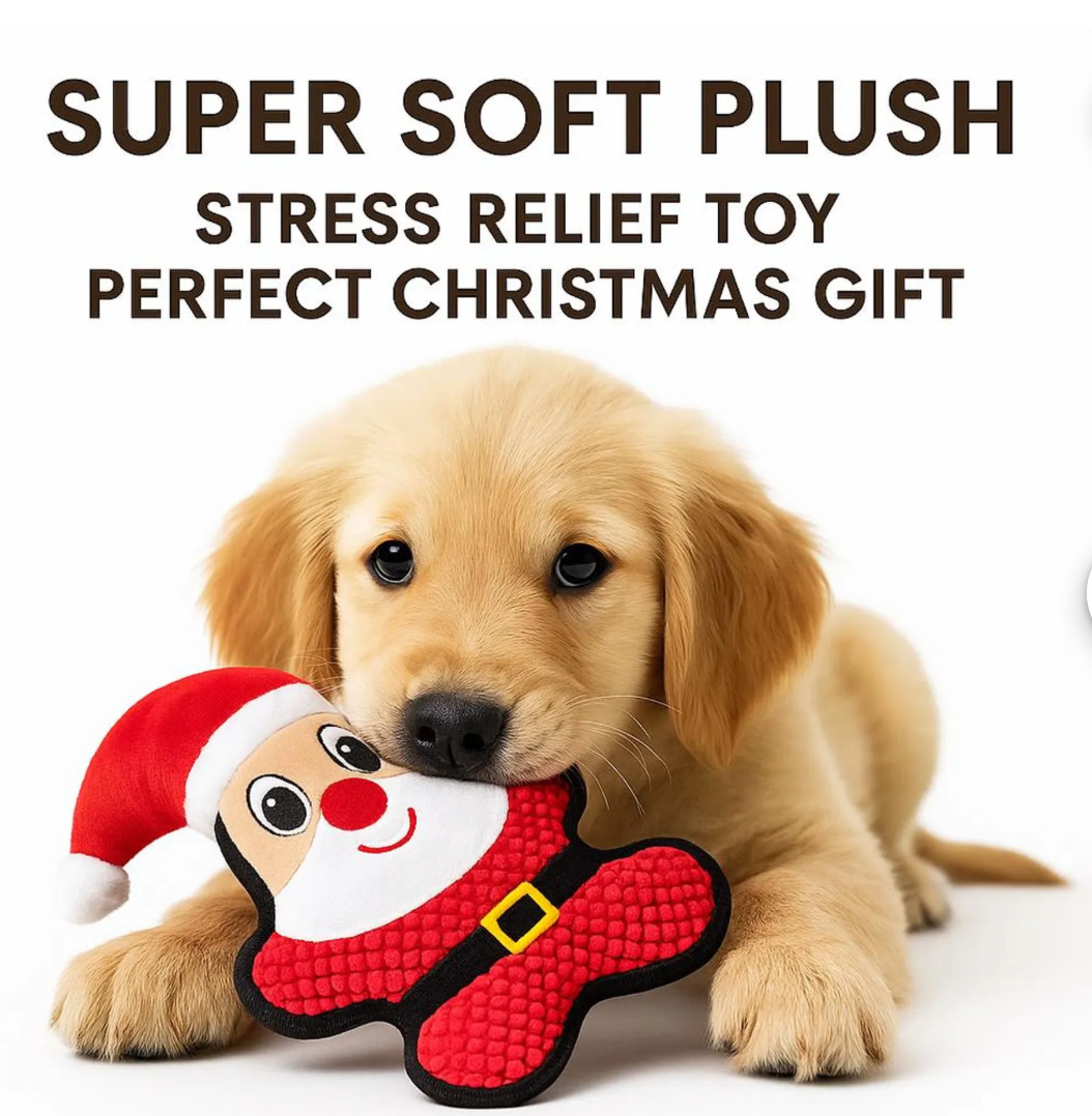 Christmas ready to Gift Plush Dog Toy Set: Holiday Squeaky Toys, Pet Gift Box