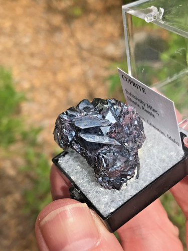 Cuprite, crystal cluster, high quality, Rubtsovsk mine, Russia, thumbnail - Picture 6 of 15