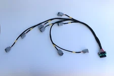 Holley EFI HiRam Lo Ram LS Injector Harness Denso Bosch 210 EV14 ID2000 FID2000