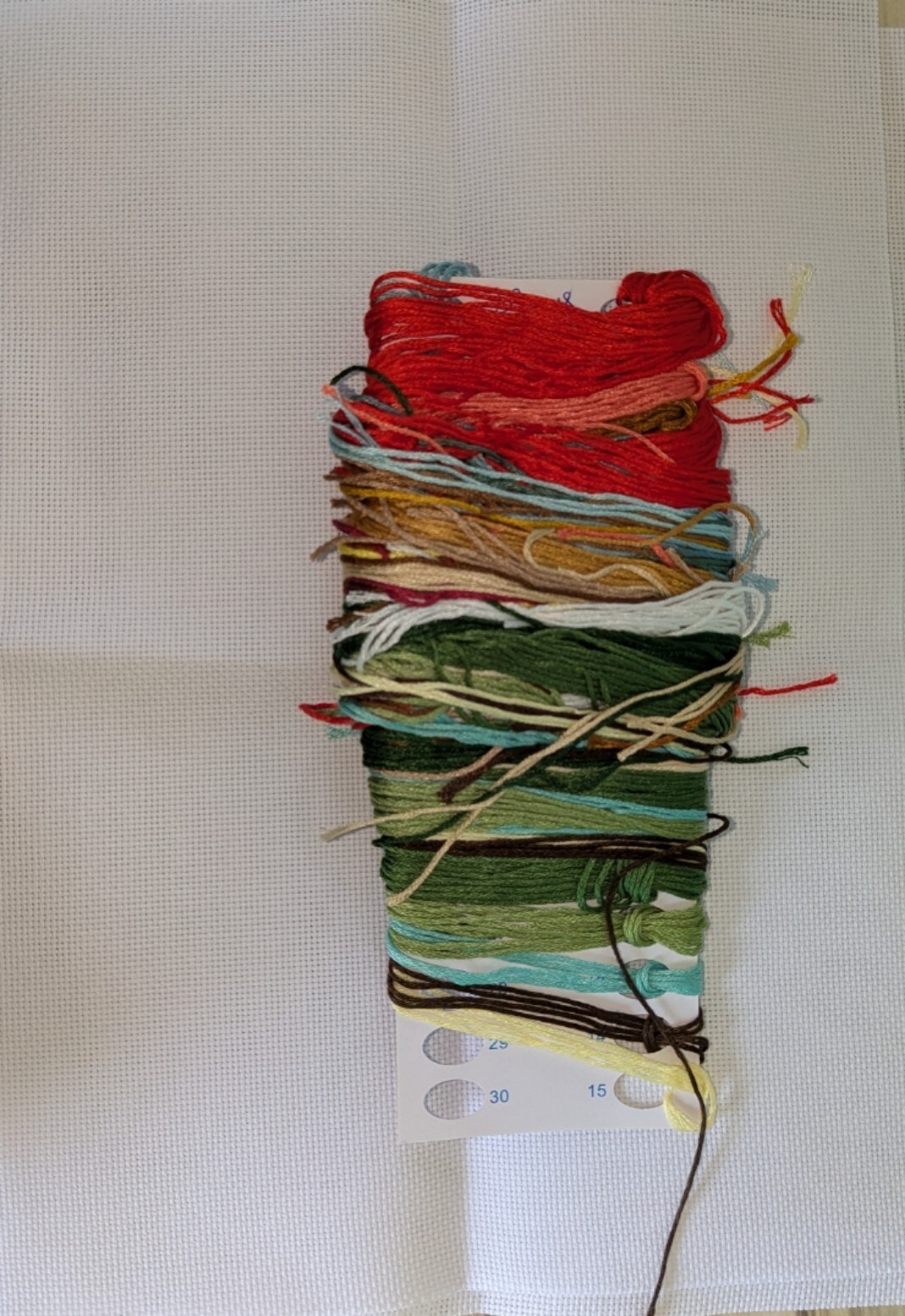 Bild 4 von 4