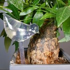 5 Packs Bird-Shaped Self-Watering Drip Globes Perfect For Automatic Flower UK