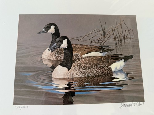 4 Duck Stamp Prints 87 New York, 86 North Carolina, 86 Washington, 87 Texas - Picture 5 of 9