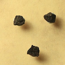 3 Splitter Meteorit Jiddat al Harasis 730 - Chondrit aus Oman - zusammen 0,1g