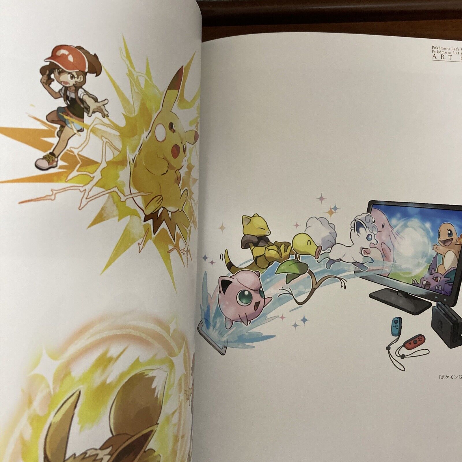 EVs Pokemon Eevee Cafe Art Book Illustration