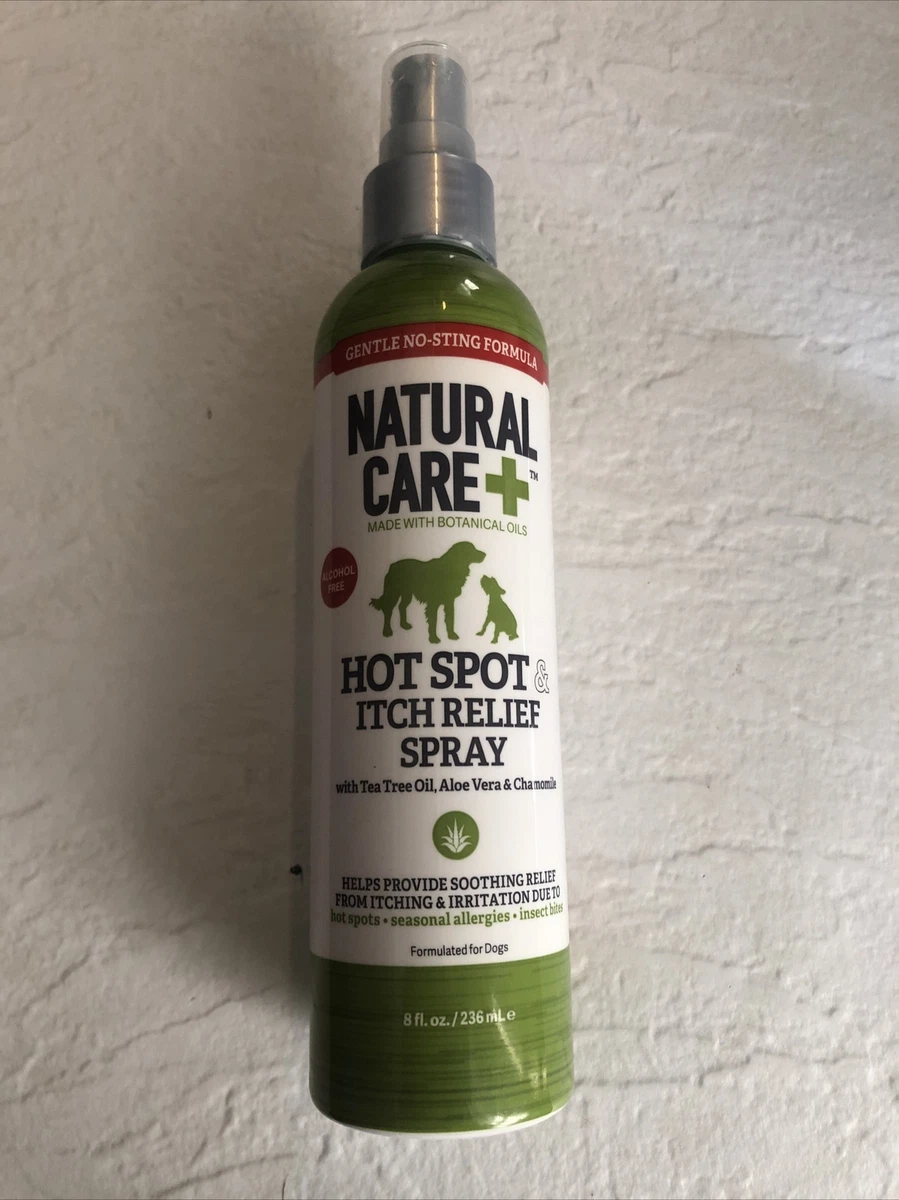 Homemade itch relief spray for dogs 2025