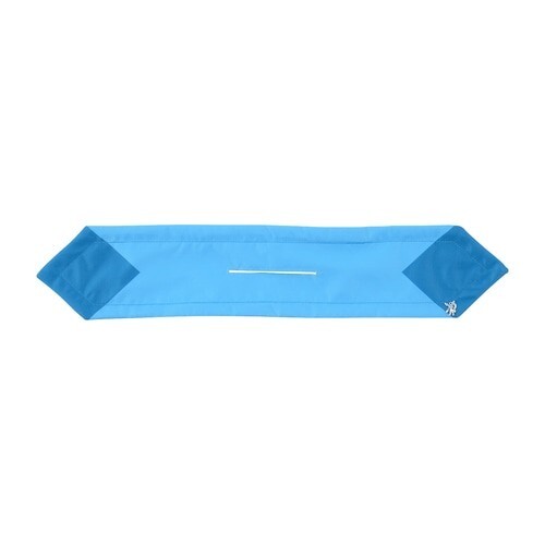 Pokemon Center Pokemon accessory Series Hair bands H80 Deft van Glaceon