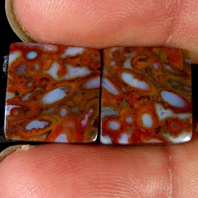 12.50Cts.Natural red Designer Palm Root Agate Cushion Pair 12x13x3mm Cab Gems