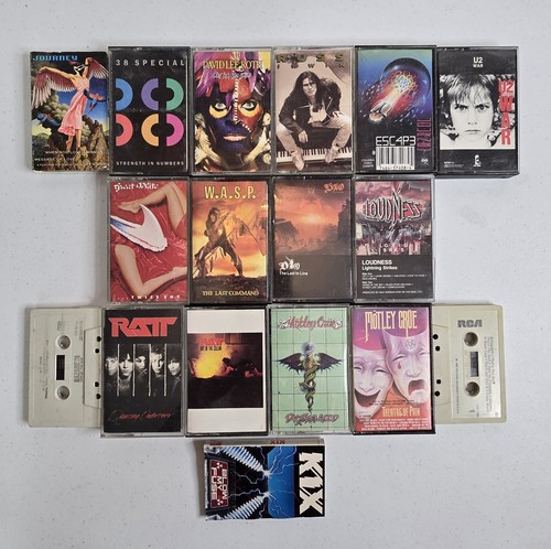80s Heavy Hair Metal Hard Rock 16 Cassette Tape Lot Crue Ratt Dio Loudness WASP
