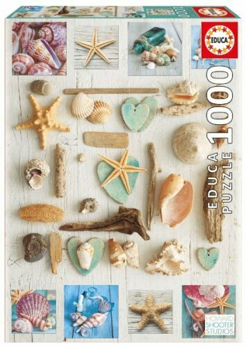 Seashells Collage Jigsaw Puzzle (1000 Pieces) Educa