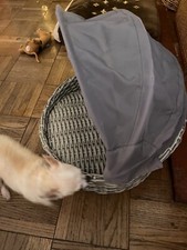 Wicker Pet dog Cat basket outdoor Indoor bed lounge small w/washable canopy grey