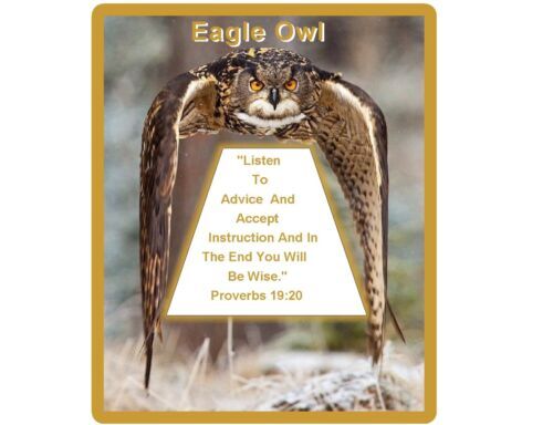 GODZILLA DAIKAIJU RETSUDEN Magnete Testa Di Mostro Set Completo Ichiban - Foto 8