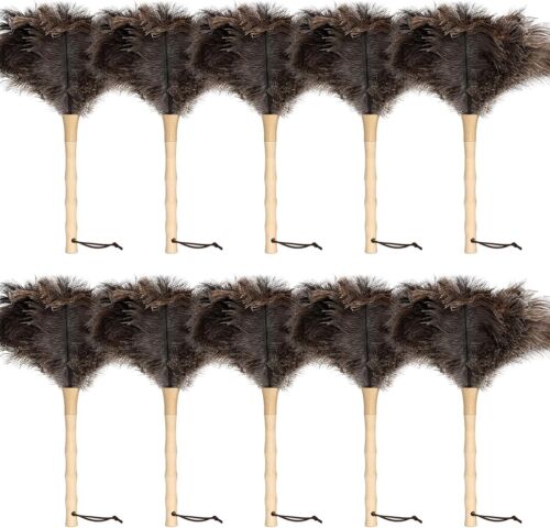 Soft & Fluffy 10PCS Ostrich Feather Duster - Reusable Eco-Friendly Cleaning Tool