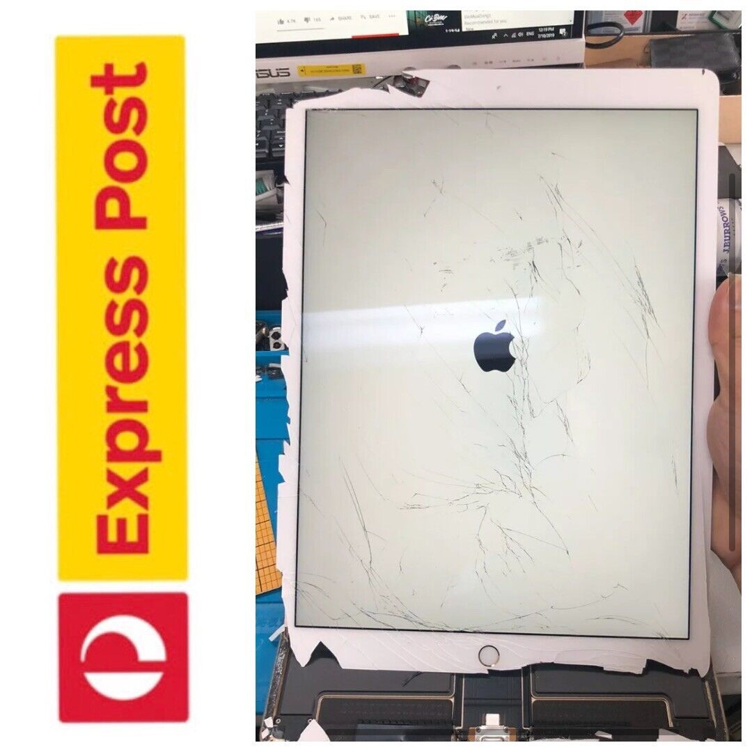 Ipad pro 12.9 inch random cracked screen