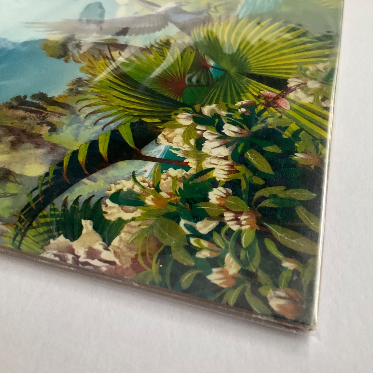 ASIA Alpha **MINT**Japan | eBay