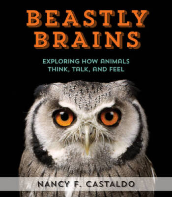 Beastly Brains: Exploring How Animals Think, Talk, and Feel - VERY GOOD