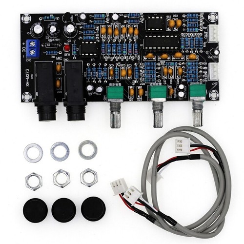Karaoke Reverberation Module Auditory Amplifier Board For Home Entertainment