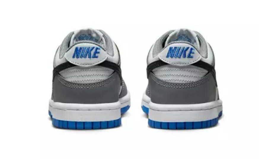 Nike Dunk Low (GS) Cool Grey Black Pure Platinum FB9109-001