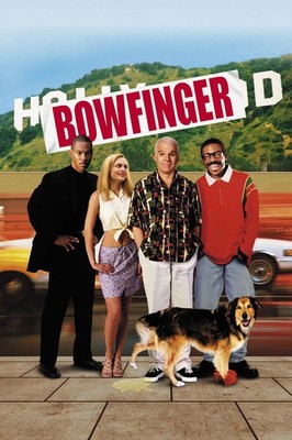 Bowfinger (DVD, Wide, 1999) *DISC ONLY* NO CASE NO TRACKING