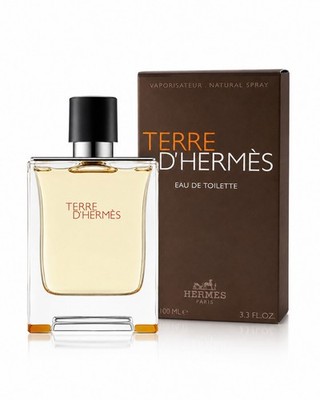 Hermes Terre d'Hermes Eau de Toilette 100ml Herren Parfum Orginal