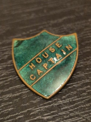 Hauskapitän grün Pin Anstecker für Schulen