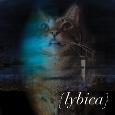 Lybica,SEALED CD,Digipack,Lybica (CD, 2022),Justin Foley from Killswitch Engage