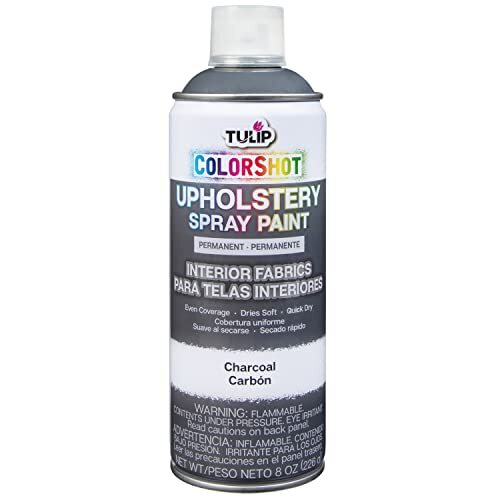 Tulip ColorShot Instant Fabric Color Interior Upholstery Spray 8 oz