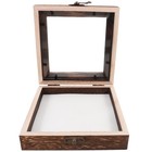 Square Butterfly Display Case Wooden Shadow Box with Eva Padding
