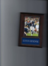 STEPHEN GOSTKOWSKI PLAQUE NEW ENGLAND PATRIOTS FOOTBALL NFL GAME ACTION