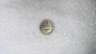1929 Standing Liberty Silver Quarter Coin Collector Item